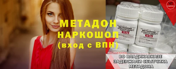 стаф Верея