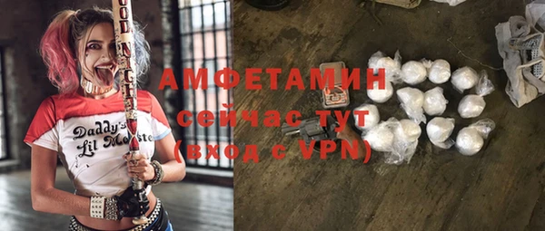 стаф Верея
