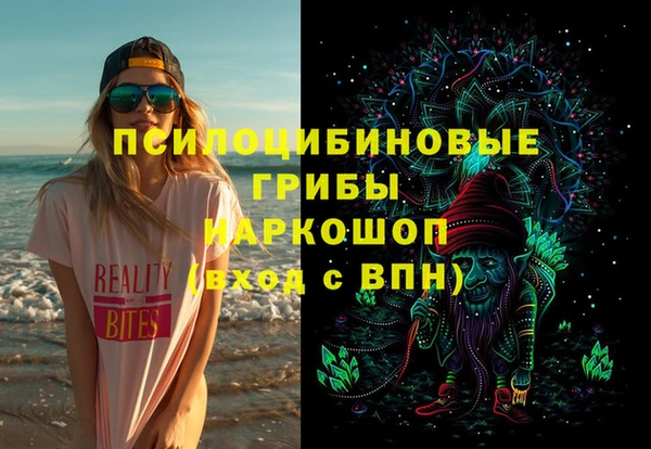 стаф Верея